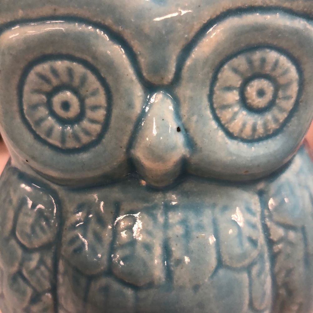 Meet your Posher, Camille